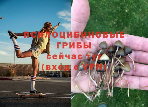 а пвп мука Балахна