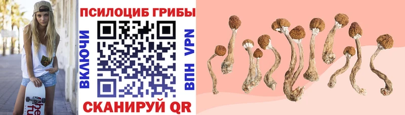 Галлюциногенные грибы мицелий  цена   Боровск 